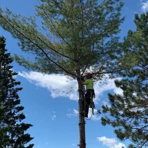 Meet your Posher, Zach